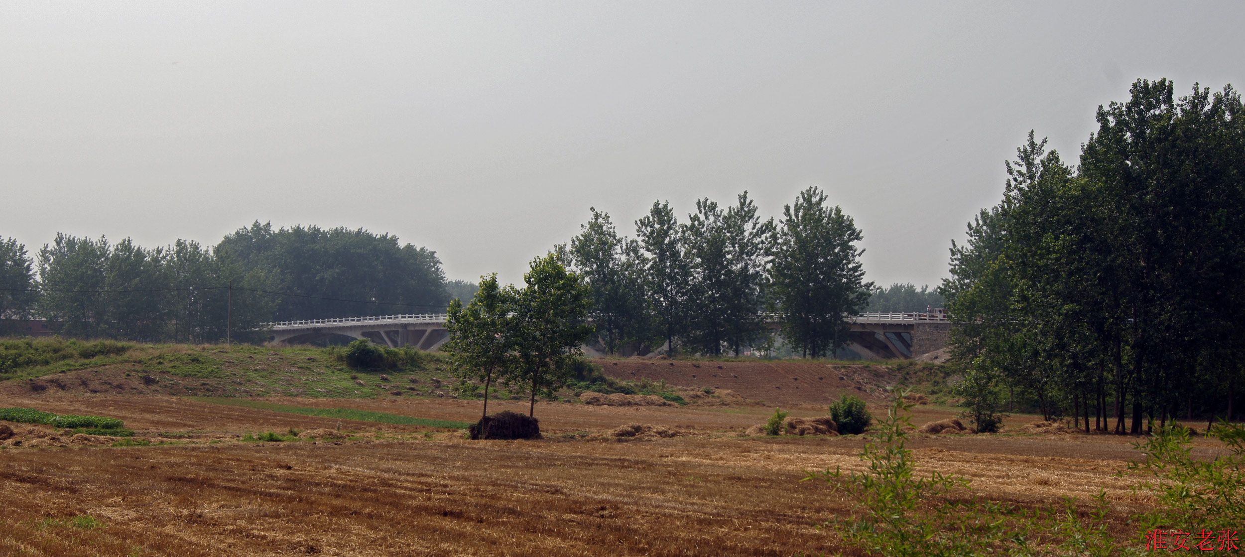 许渡大桥（2014-06-11 拍）