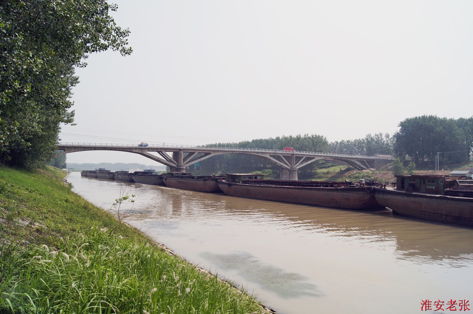 许渡大桥（2014-06-11 拍）