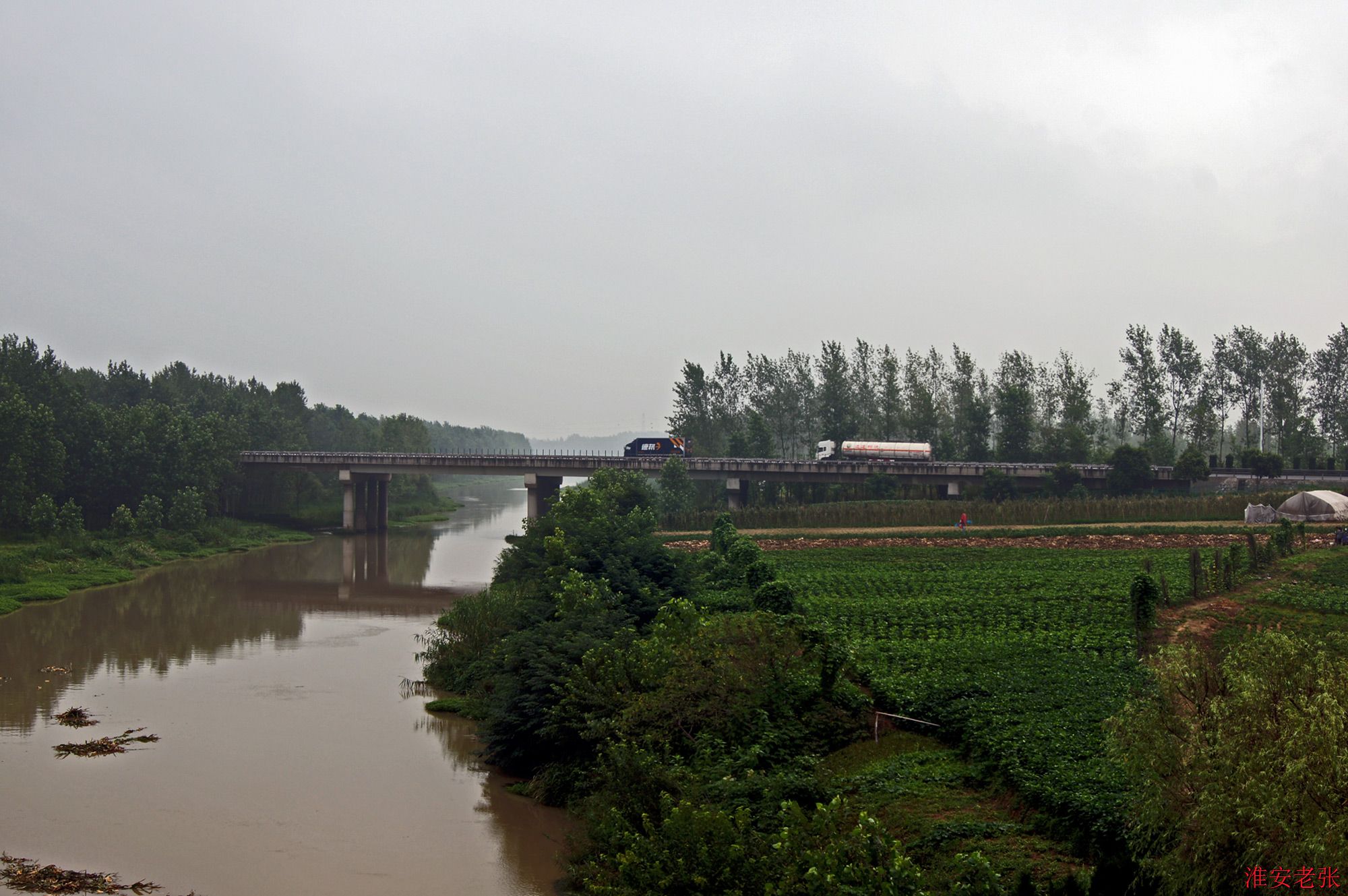 京沪高速公路黄河桥（2014-07-28 拍）