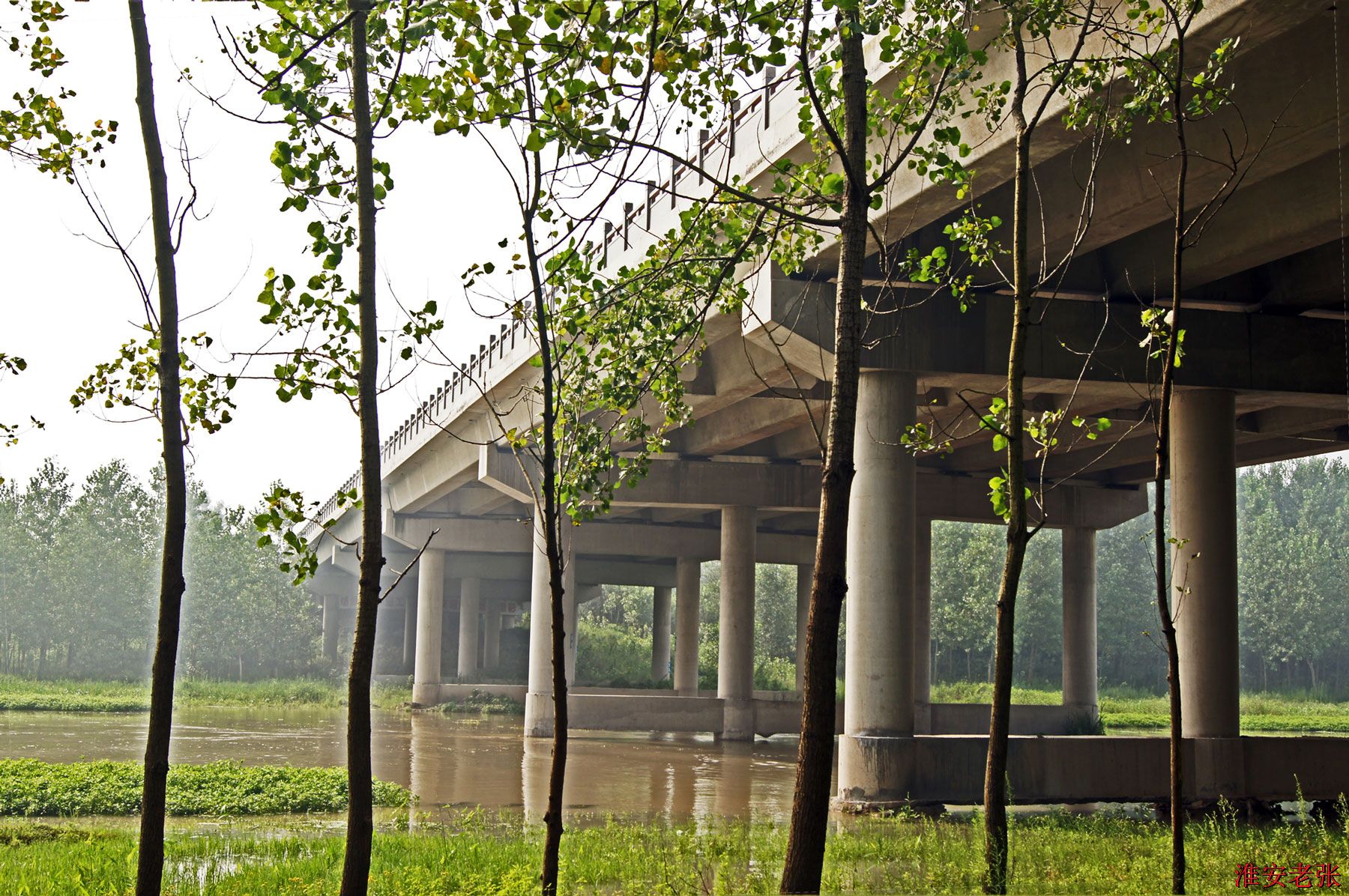 南马经三路黄河桥（2014-08-22 拍）